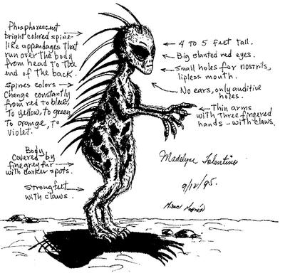 Would the real chupacabra please stand up